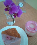 20100410140931.jpg