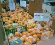 20100319153924.jpg
