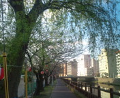 20100327073558.jpg