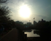 20100404071508.jpg