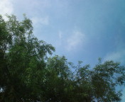 20100627065008.jpg